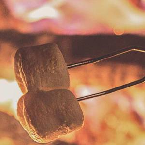 蒙特利尔狩猎钓鱼露营等户外活动展