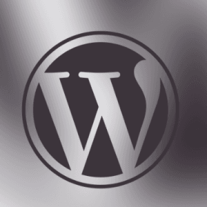 高级开发人员免费教你用WordPress搭建自己的网站