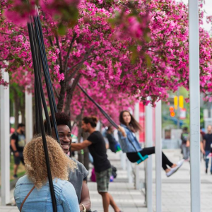 蒙特利尔最受欢迎的免费音乐秋千又来了！