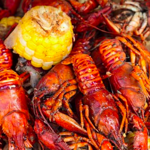 蒙特利尔最好吃的龙虾美食节又要来了！