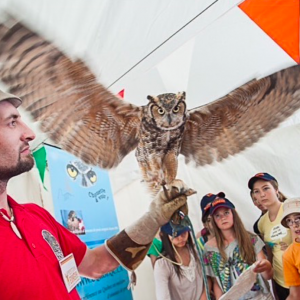 孩子们最爱的免费科学节日Eureka开始了
