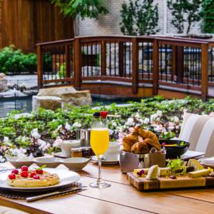 不可不试！蒙特利尔最美的八家露台餐厅