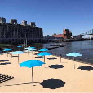 老港最美的沙滩马上就要开放了！