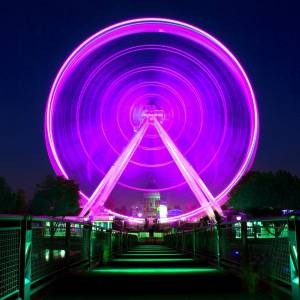 本周末 老港摩天轮票价降至10元 仅一天