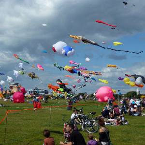 不可不去的南岸风筝节