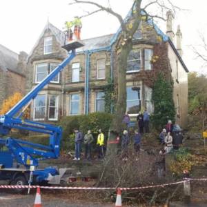 受邻家大树困扰时该怎么办？