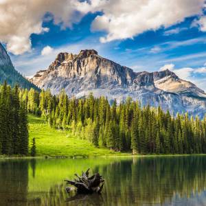 加拿大国家公园免费