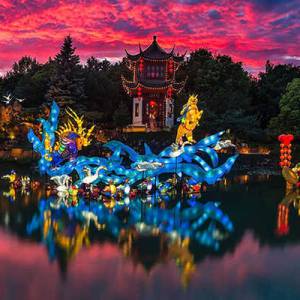 蒙特利尔第26届植物园彩灯节