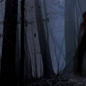 蒙特利尔皇家山捉鬼行动