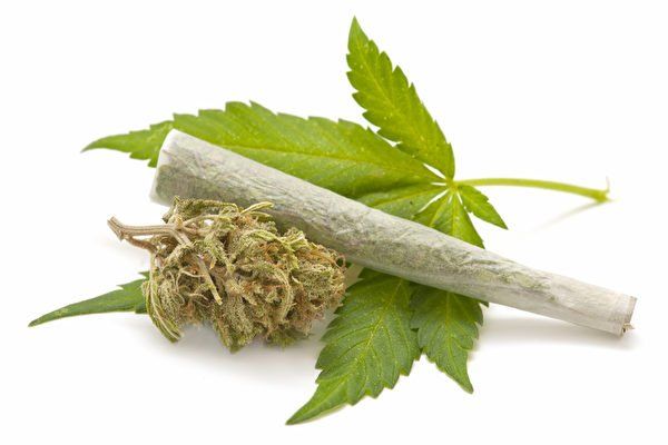 加拿大各省及特区大麻管控大麻方法