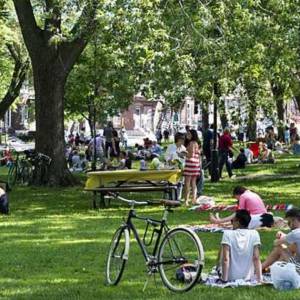 在魁省公园玩小心被罚款