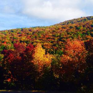 蒙特利尔旁的秋日赏枫节