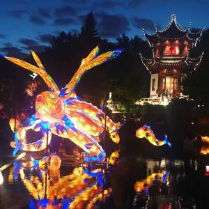 来欣赏一下植物园的彩灯节吧！