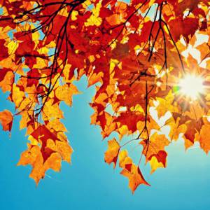 魁北克Rigaud小镇秋天多彩节