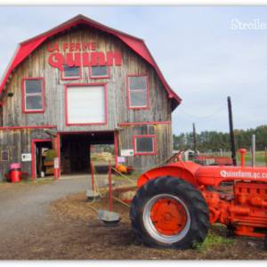 魁北克秋季农场开放日
