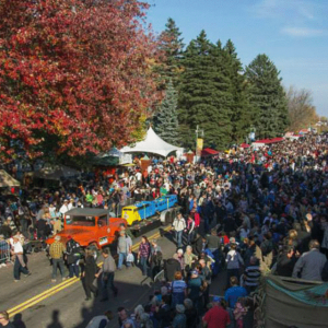 火车模型展 荞麦饼节 农场开放日 蔓越莓节--本周精彩活动