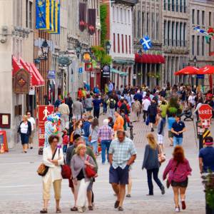 蒙特利尔岛上华语人口不足六万