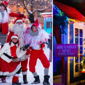 本周末精彩活动--圣诞游行 免费溜冰场 圣诞列车展 工艺品博览会 ... ...