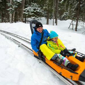 本周末精彩活动--免费博物馆日 最后一场烟花展 冰酒店