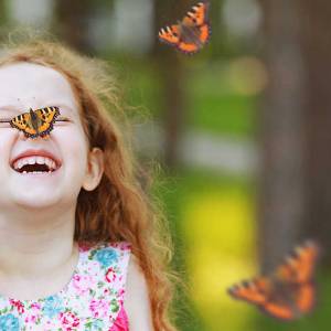 蒙特利尔植物园蝴蝶展