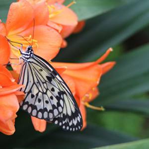 放春假 蒙城户外活动好去处