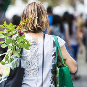 蒙特利尔植物园免费送树苗