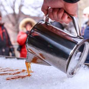蒙特利尔老港枫糖音乐节