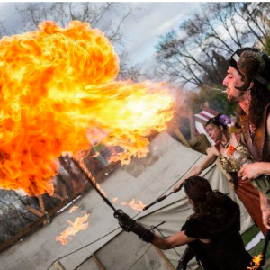 蒙特利尔大型中世纪活动展