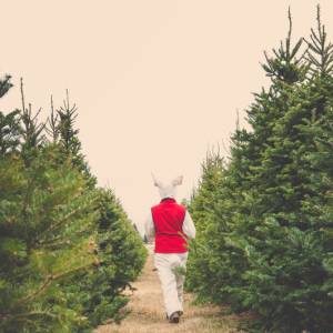 La Ferme Quinn农场复活节找蛋