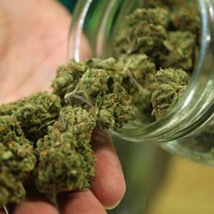 法官：房客不需要处方就可使用医用大麻