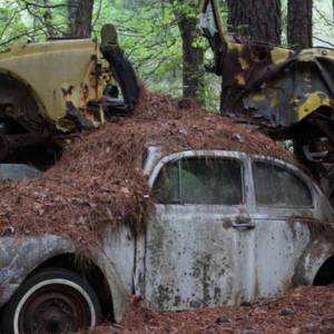 魁北克车辆报废的各种保险大有学问