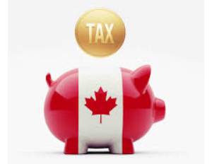 报税截止期将到 六种方法可避免被查税