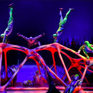 太阳马戏团门票7.5折 还送免费饮料和爆米花