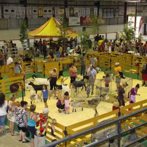 南岸动物博览会