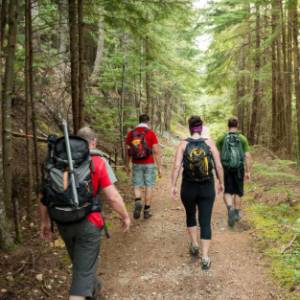 蒙特利尔附近5个不容错过的徒步路线