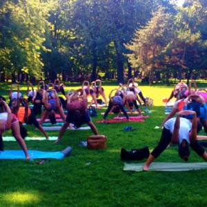 蒙特利尔哪些公园今年夏天提供瑜伽课？