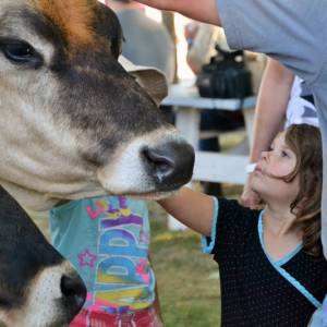 魁省最大最好玩的农业博览会