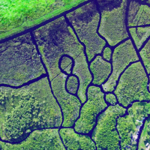 蒙特利尔附近超牛逼的水上迷宫