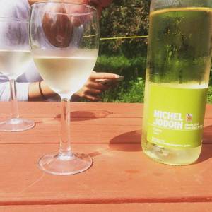 秋季一日游：赏枫，品酒，摘苹果