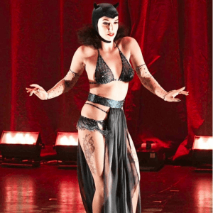 蒙特利尔滑稽歌舞杂技节