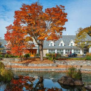 全世界最美的赏枫酒店就在魁北克 来个周末小逃离吧！