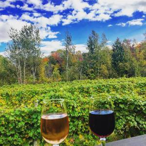 葡萄酒之旅--魁省最值得一去的六个酒庄