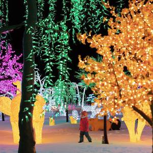 蒙特利尔本周末（11月2日-3日）精彩活动