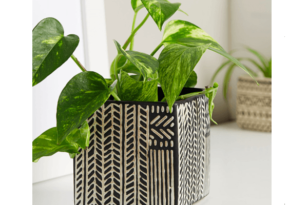 Simons家居饰品圣诞特价