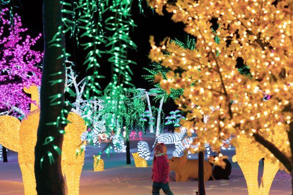 蒙特利尔今年圣诞最吸引人的冬季特别节目
