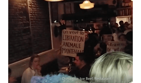 蒙特利尔打击激进分子对商户的非法入侵