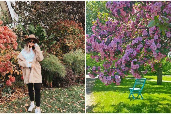 蒙特利尔植物园日式春季野餐活动