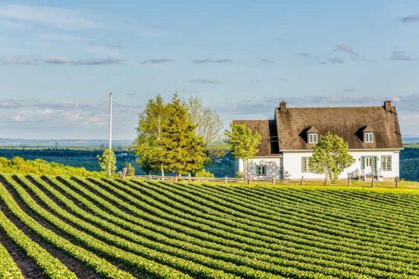 魁北克农场主出资14万包机接外国劳工