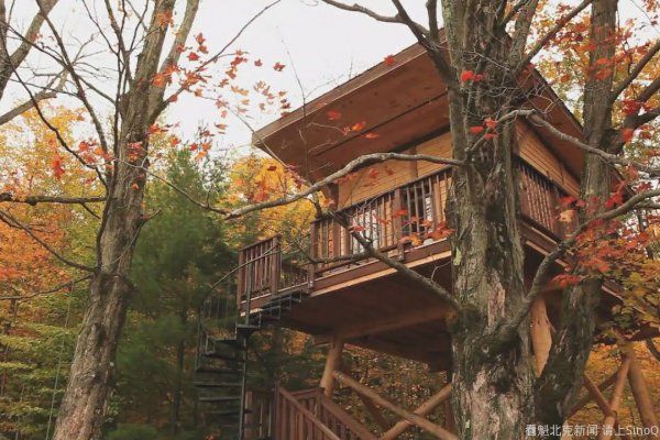 魁北克舒适又不贵的七个树屋露营地