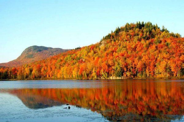 必须收藏！蒙特利尔附近最美的8条赏枫路线